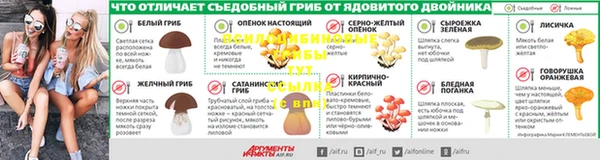 трава Абаза