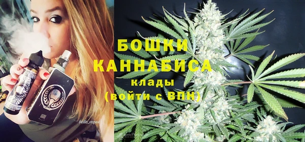 ПСИЛОЦИБИНОВЫЕ ГРИБЫ Магас