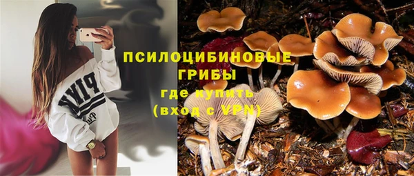 эйфоретик Майский