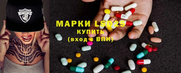 ПСИЛОЦИБИНОВЫЕ ГРИБЫ Магас