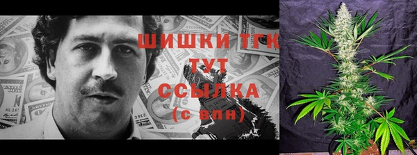 эйфоретик Майский