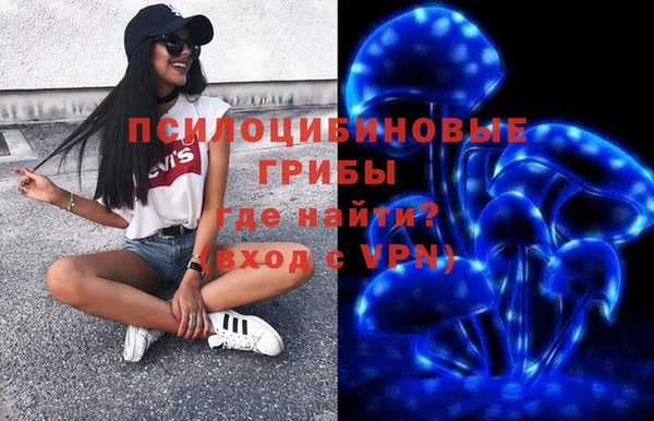 ПСИЛОЦИБИНОВЫЕ ГРИБЫ Магас