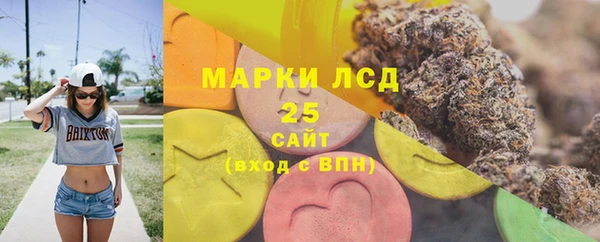 PSILOCYBIN Абдулино