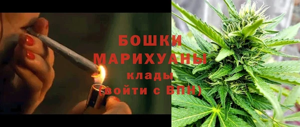 эйфоретик Майский