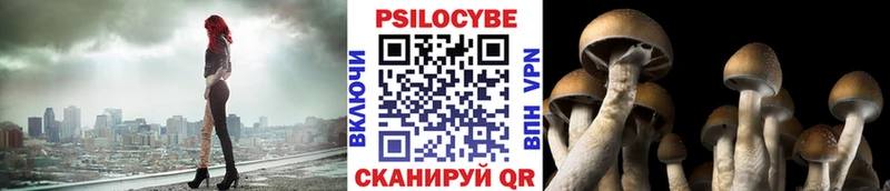 MEGA ССЫЛКА  Александровск-Сахалинский  Галлюциногенные грибы Psilocybine cubensis 